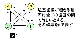 fig1.jpg