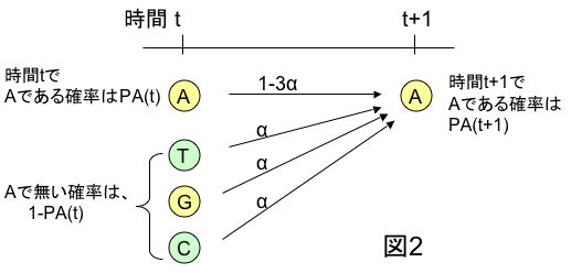 fig2.jpg