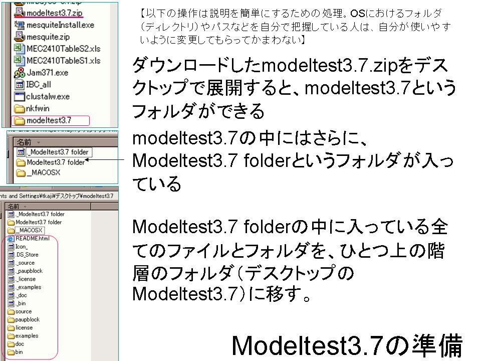 スライド3.JPG