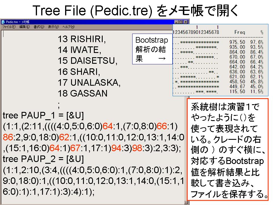 スライド14.JPG