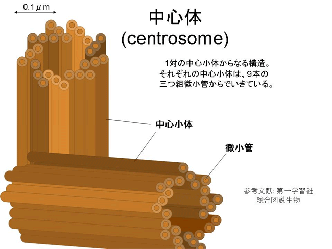 Untitled-2.gif