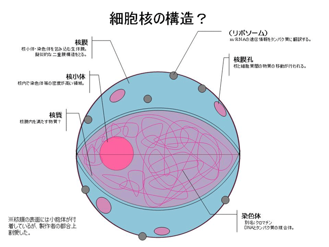 Untitled-3.gif