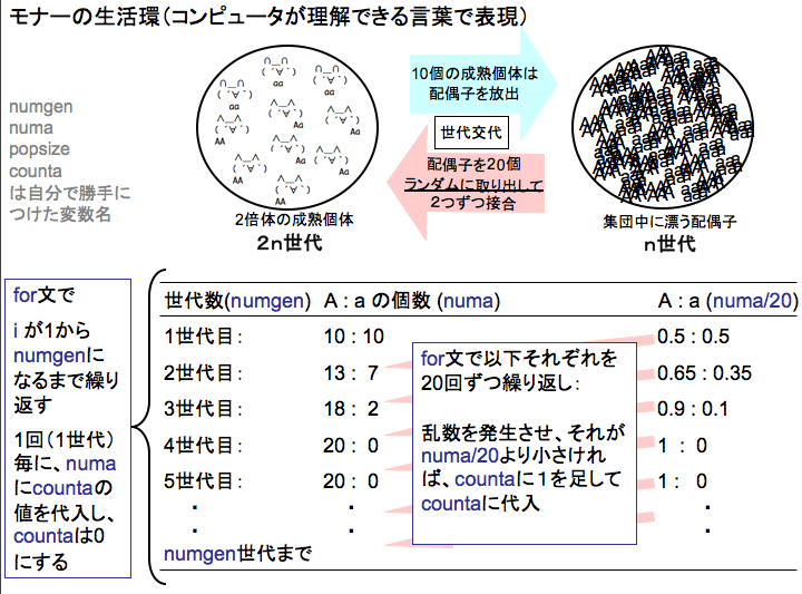 slide10-3.gif