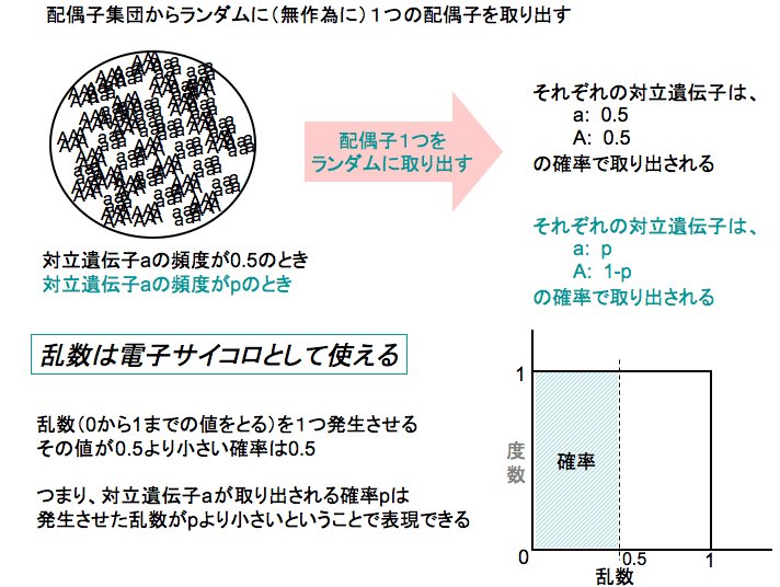 slide10-4.gif