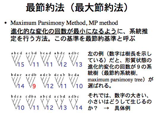 mp.gif