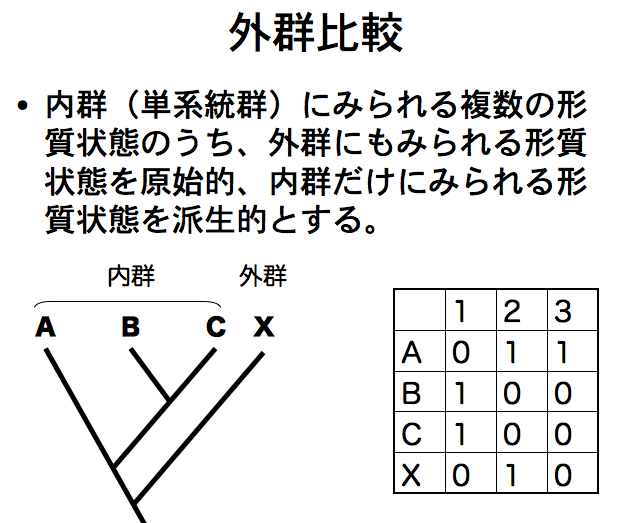 outgroup1.gif