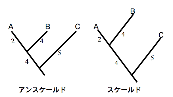 scaled.gif